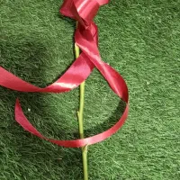 گل آپارتمانی گل شاخه از ۱۲۰ تا (گل پری) جانباز