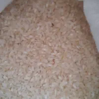 برنج کامفیروزی|خوردنی و آشامیدنی|شیراز, شهرک مدرس|دیوار