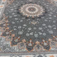 قالی نو مناسب جهیزیه|فرش|سبزوار, باهنر|دیوار