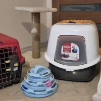ظرف خاک گربه و باکس گربه