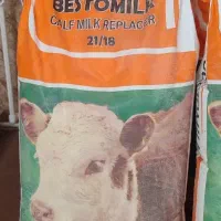 گوساله شیرخشک