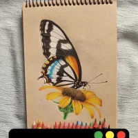 آموزش نقاشی کودکان وبزرگسال