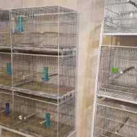 قفس|لوازم جانبی حیوانات|شهرکرد, |دیوار
