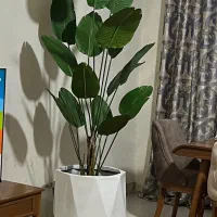 درختچه مصنوعی|گل مصنوعی|تهران, بهمن یار|دیوار