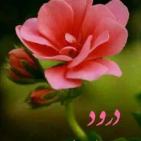 فروش زمین بر بلوار. ورودی ملکشاهی