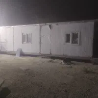 کانکس ماموت امریکایی اصل
