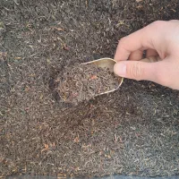 انواع چای لاله شمعدان زیر قیمت|خوردنی و آشامیدنی|تهران, مولوی|دیوار