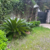 ویلا جنگلی۱