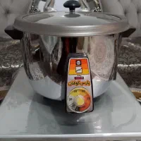 پلوپز  برقی پارس کوشان