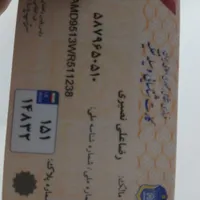 کارت موتور پیدا شده