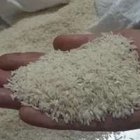 برنج دومسیاه|خوردنی و آشامیدنی|چگنی, |دیوار