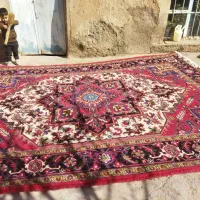 فرش هریس تاجری 9متری