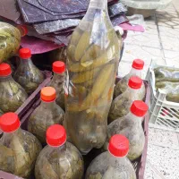 برگ مو-خیارشور - لواشک|خوردنی و آشامیدنی|مرند, |دیوار