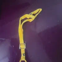 جلیقه پرواز پرنده عروس هلندی و طوطی برزیلی