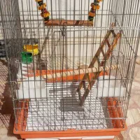 قفس بزرگ عروس هلندی و کاسکو|لوازم جانبی حیوانات|شیراز, کیان شهر|دیوار
