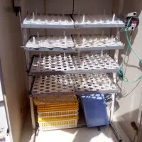 فروش دستگاه جوجه کشی 550عددی