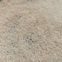 برنج دانه شکسته|خوردنی و آشامیدنی|قم, گلزار|دیوار