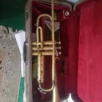 ترومپت فروشی|سازهای بادی|الوند, |دیوار