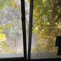 آرژانتین ۶۲۰ متر ( سه نبش ، خاص ترین ملک منطقه)