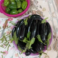 بادمجان با کیفیت