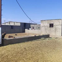 معاوضه مزرعه هفت هکتاری با واحد مسکونی|فروش دفتر صنعتی، کشاورزی، تجاری|فیروزکوه, |دیوار