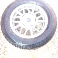رنگ خرچنگی بالستیک 14