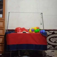 تاشو مسافرتی