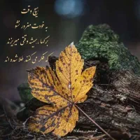 آشپزخانه بیرون بر