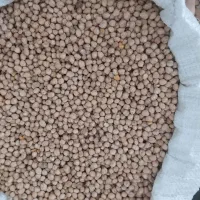 نخودآبگوشتی