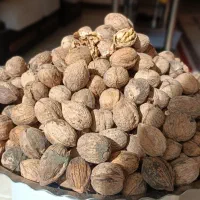 گردو درجه یک اعلا خوش طعم شهرستان بافت.|خوردنی و آشامیدنی|قشم, |دیوار