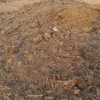 کود بلدرچین