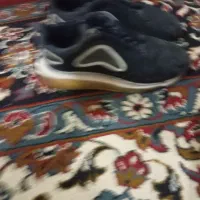 کفش خارجی|کیف، کفش، کمربند|گنبد کاووس, |دیوار