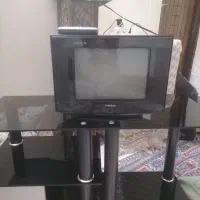 تلویزیون