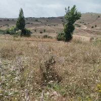 فروش زمین درروستای گرزنچاک مجاورداماش|فروش زمین و ملک کلنگی|جیرنده, |دیوار