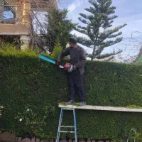 کلیه خدمات باغبانی و باغچه کاری منازل و ویلاها