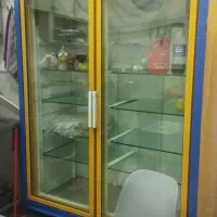 سردخانه زیر صفری