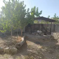 باغچه در کوشک زر|فروش زمین و ملک کلنگی|هشتگرد, کوشک زر|دیوار