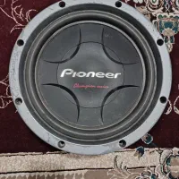 ساب پایونیر۱۲ اینچ|صوتی و تصویری|نگین شهر, |دیوار