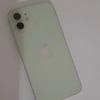 12 normal