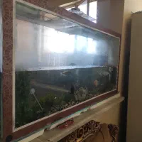 اکواریوم و پمپ|ماهی|سبزوار, قاضی زاد|دیوار