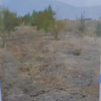 زمین-کشاورزی-اجاره-ای-با-آب-کافی