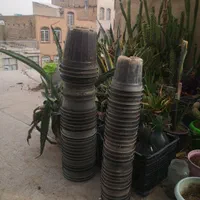 تعدادی گلدان پلاستیکی سطل 3.وگلدان 14|گل و گیاه طبیعی|کرج, دهقان ویلا|دیوار