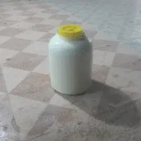 شیر گاو پر چرب