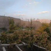 باغ فروشی (راین )|فروش دفتر صنعتی، کشاورزی، تجاری|راین, |دیوار