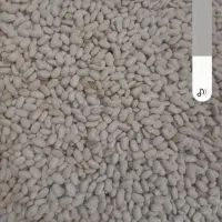 لوبیا سفید و قرمز