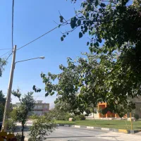 آپارتمان یک خواب نورگیر بلوار سعادت|اجارهٔ آپارتمان|شیراز, صاحب الزمان|دیوار