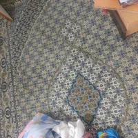 فرش ۹متری طوسی فرش سبز ۶متری|فرش|لاهیجان, کوی خزر|دیوار