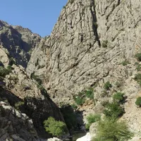 مشارکت در طرح ماهی و طرح گردشگری