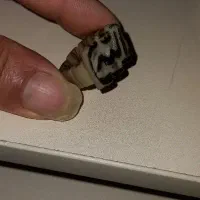 ساخت انگشتر با هسته خرما کنده کاری سنتی|بدلیجات|اراک, |دیوار