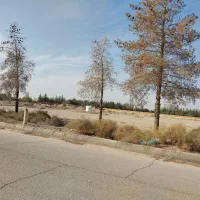 فروش امتیاز زمین مجتمع آپارتمانی ملاصدر ا. صفاییه|پیش‌فروش املاک|یزد, |دیوار